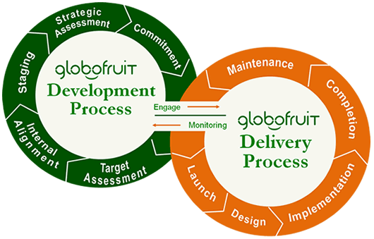 GloboFruit Strategic Quality Process